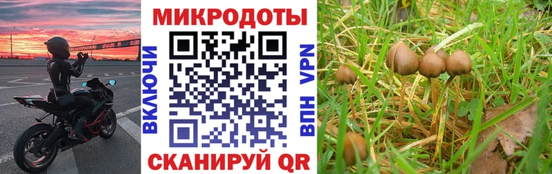 Купить где  Билибино  Галлюциногенные грибы мухоморы 